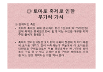 [사회계열, 인문계열] 스페인 토마토 축제-9
