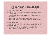 [사회계열, 인문계열] 스페인 토마토 축제-13
