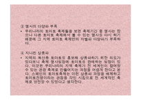 [사회계열, 인문계열] 스페인 토마토 축제-15
