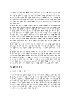 [알권리, 초상권침해, 정보공개법, 미디어, 은사권] 알권리의 개념과 알권리의 발전, 알권리와 초상권침해, 알권리와 정보공개법, 미디어의 알권리와 은사권, 알권리의 쟁점과 알권리의 시사점 분석-13