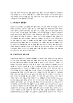 [인도네시아] 인도네시아의 역사, 인도네시아의 경제, 인도네시아의 문화와 경제, 인도네시아의 문화와 정치, 인도네시아의 노동실태, 인도네시아의 노동분쟁, 인도네시아의 종교갈등, 인도네시아와 아체의 대립 고찰-12