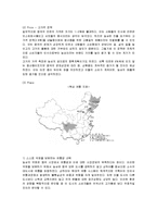[마케팅] 농심 신라면의 중국 시장 진출 마케팅 전략 분석-9