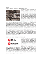 [경영전략] 농심의 CSM 고객 만족 경영-2