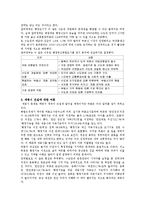 [시사] 세종시 건설에 대한 논란 및 과제-4