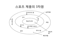 [시장세분화, 스포츠제품, 스포츠마케팅, 마케팅] [모든학과] 시장세분화 및 스포츠 제품-9