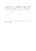 [인사관리] 성과주의 인사제도의 실태(인사관리)-4