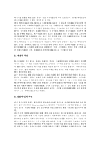 [천주교사회복지] 천주교사회복지(가톨릭교회사회복지)의 개념, 천주교사회복지(가톨릭교회사회복지)의 원칙과 특징, 천주교사회복지(가톨릭교회사회복지)의 실태, 천주교사회복지(가톨릭교회사회복지)의 발전방안과 개선과제 분석-11