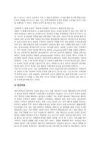 [티비토론] TV토론(TV선거토론)의 개념, TV토론(TV선거토론)의 형식과 구성요소, TV토론(TV선거토론)의 역사, TV토론(TV선거토론)의 중요성, TV토론(TV선거토론)의 언어전략, TV토론(TV선거토론)의 시사점 분석-9