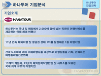 [하나투어, 경영전략, 성공사례, 경영전략사례, 관광] 하나투어의 경영전략 사례-4