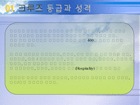 [크루즈, 관광, 크루즈 관광, 운수, 해상교통] 크루즈 사업-16