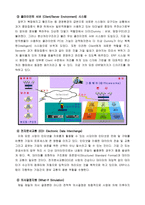 [경영학,경영정보] ERP의 기본개념 및 특징-11