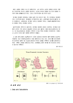 [생체계측 실험, Lesson 17, Heart sound] [생체계측 실험] Lesson 17 Heart sound-2