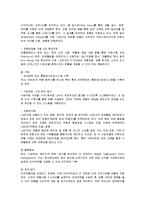 [경영전략] LG전자의 표준화 전략-6