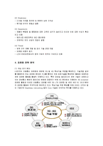 [경영전략] LG전자의 표준화 전략-10