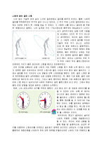 [재미있는골프] 단계별 골프스윙-5
