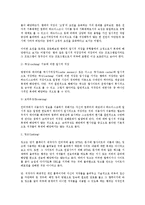 [저작권법] 인터넷 상의 저작권 보호(저작권법)-5