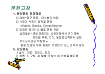 [급성장염, 간호진단, 급성장염 case study] 급성장염-4