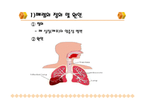 [폐렴, 기관지염, 간호진단, 폐렴 case study, 기관지염 case study, 간호학] 폐렴 & 기관지염-3