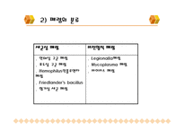 [폐렴, 기관지염, 간호진단, 폐렴 case study, 기관지염 case study, 간호학] 폐렴 & 기관지염-5