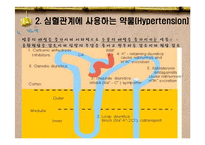 [간호 약물, 간호약리학, 임상 약리학] 임상약리학-13