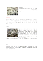 [지질학] 돌의 종류-2