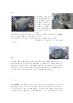 [지질학] 돌의 종류-3