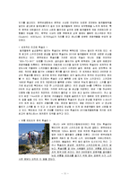 [캐나다스포츠관광정책, 한국스포츠관광정책] 스포츠관광정책-11