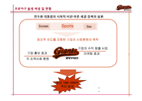 [마케팅] 롯데 자이언츠 마케팅 전략 분석-3