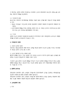 [경영조직론] 전략과 조직구조 검토(조직구조론)-4