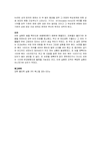 [실험] 마이켈슨 간섭계-2