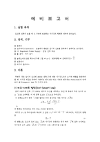 [실험] 전류와 자기장-1