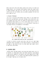모방 자살, 베르테르 효과, 모방자살 원인, 모방자살 대책, 언론 보도, 모방자살 사례, 문제점, 동조 자살-3