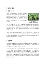 [담배][흡연][금연]담배(흡연)의 유해 성분과 관련 질병(암, 혈관, 폐 질환) 조사 및 간접흡연, 여성흡연의 문제점, 금연의 필요성과 방법 고찰-2