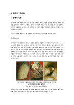 [담배][흡연][금연]담배(흡연)의 유해 성분과 관련 질병(암, 혈관, 폐 질환) 조사 및 간접흡연, 여성흡연의 문제점, 금연의 필요성과 방법 고찰-7