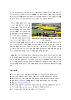 [슬로우관광]슬로관광의 정의 및 특징, 목적에 대한 이해와 기존관광의 문제점 및 지속가능한 대안 관광으로서의 슬로우 투어리즘(slow tourism)-11