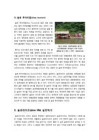 [슬로라이프]슬로우 라이프의 이해(등장 배경, 정의, 특징, 의미, 필요성) 슬로우 라이프(slow life)운동 사례(슬로푸드, 슬로시티)와 실천방법-9