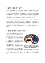 [슬로우푸드]슬로우푸드(slow food) 운동의 등장 배경 및 활동 목적과 의미 이해, 슬로우 라이프를 위한 슬로푸드(반 패스트푸드 운동)-8