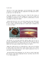 [인구증가]인구증가에 따른 환경오염 문제와 자원 고갈, 식량 부족 문제에 대한 총체적 접근, 인구증가의 원인과 영향 및 대책 모색-3
