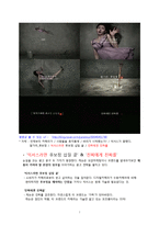 [광고론] 캐논 IXUS광고 집중분석-7