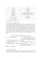 [국제경영] 국제 표준화전략-11