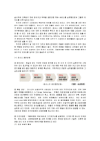 [경영전략] 듀오백코리아의 경영전략 분석-17