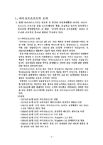 [국제경영전략] 마이크로소프트성공사례-3