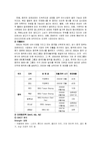 [국제마케팅] BBQ의 국제마케팅-6