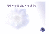 [유통관리] 화장품 유통에관한 연구-2