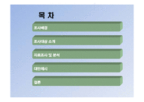 [소비자행동론] 초코파이를 통해 바라본 소비자의 소비심리-2