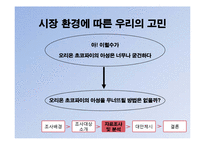 [소비자행동론] 초코파이를 통해 바라본 소비자의 소비심리-9