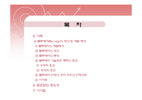 [국제경영] 국제 표준화전략-5