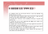 [국제경영] 국제 표준화전략-9