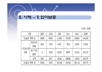 [국제경영] 국제 표준화전략-20