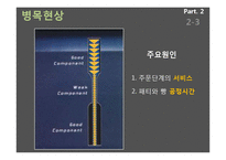 [생산관리] 맥도날드와 버거킹의 비교 사례분석-18